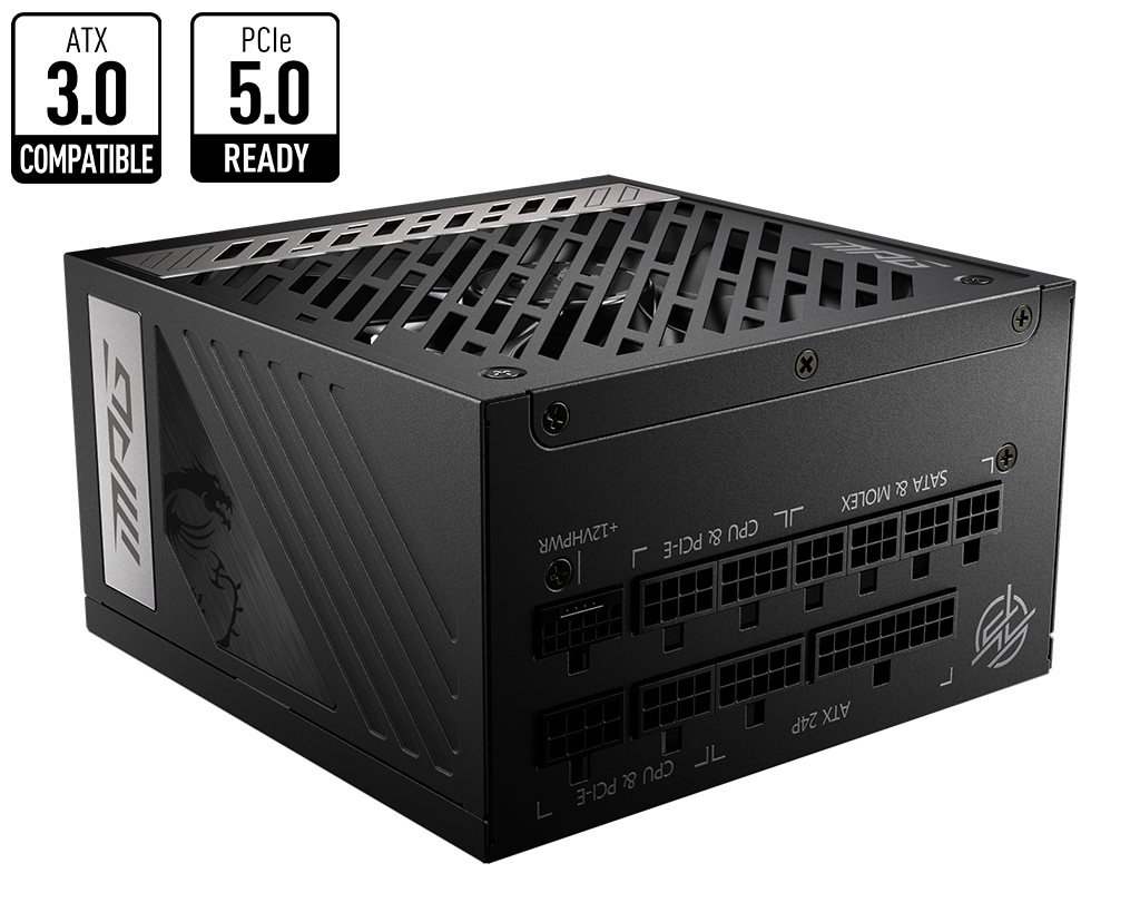 MSI MPG A1000G 1000W PCIe5 -US