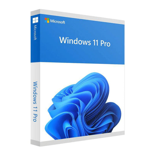 Microsoft Windows 11 Pro (64 Bit) DSP OEI DVD